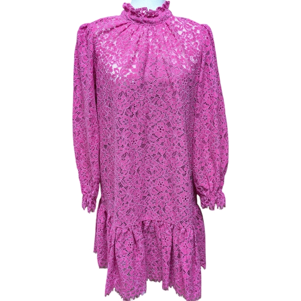 J. Crew Pink Lace Ruffle Neck Mini Dress Size Small - Picture 14 of 14